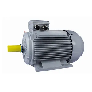 Электродвигатель ESQ PR 280M2-SDN-Б1-S12-90/3000-IE3 IM1081 (Лапы) #1