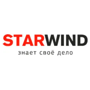 Компрессор автомобильный CC-300 65л/мин шланг 5м STARWIND 479018
