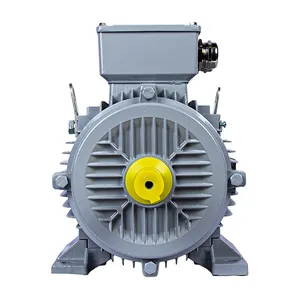 Электродвигатель ESQ PR 112M6-SDN-Б1-S12-2.2/1000-IE2 IM1081 (Лапы) #3
