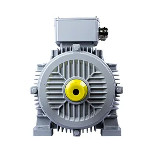Электродвигатель ESQ PR 132M4-SDN-Б1-S12-7.5/1500-IE2 IM1081 (Лапы) #3