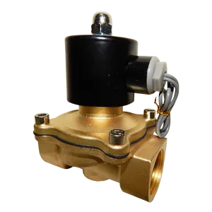 АC220V 2/2 НЗ клапан с ЭМУ G1 1/4", 0-0.7MPa Собственное производство