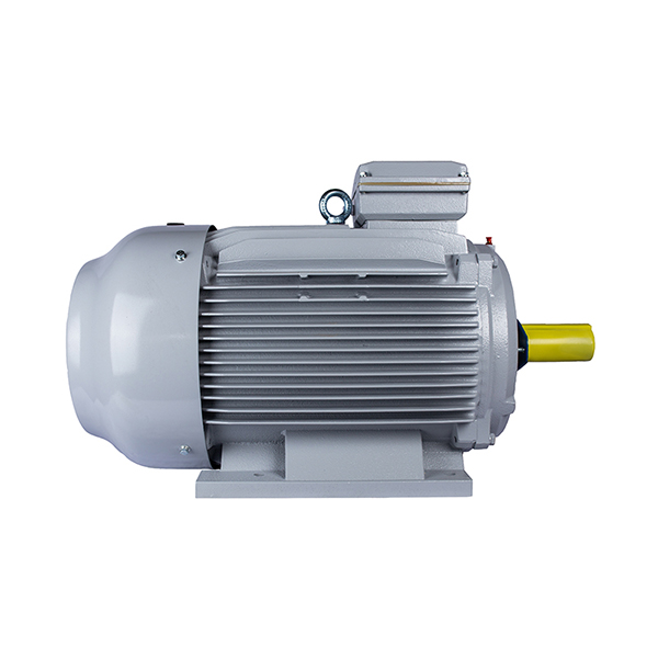 Электродвигатель ESQ PR 180M2-SDN-Б1-S12-22/3000-IE3 IM2081 (Лапы + фланец) #2