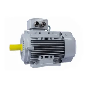 Электродвигатель ESQ PR 132SB2-SDN-Б1-S12-7.5/3000-IE2 IM1081 (Лапы) #1