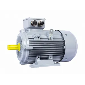 Электродвигатель ESQ PR 112M4-SDN-Б1-S12-4/1500-IE2 IM1081 (Лапы) #1