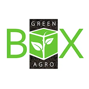 Green Box.jpg