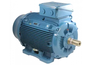 Электродвигатель W22 160L 2P 18,5кВт IE1 18.5 кВт, (WEG) 3000 об/мин, 2940 об/мин #1