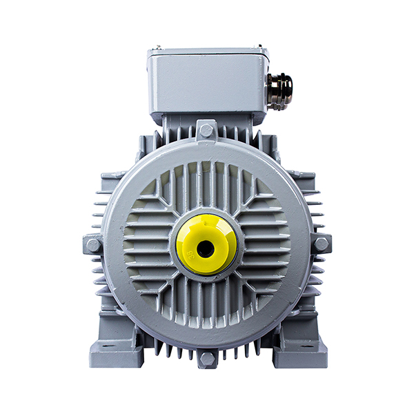 Электродвигатель ESQ PR 132S4-SDN-Б1-S12-5.5/1500-IE3 IM1081 (Лапы) #3