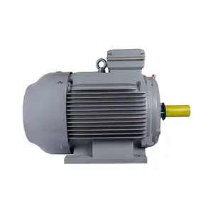 Электродвигатель ESQ PR 280S6-SDN-Б1-S12-45/1000-IE3 IM1081 (Лапы) #2