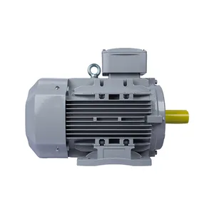 Электродвигатель ESQ PR 132SA2-SDN-Б1-S12-5.5/3000-IE3 IM1081 (Лапы) #2