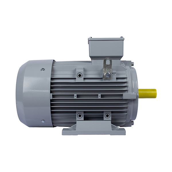 Электродвигатель ESQ PR 112M4-SDN-Б1-S12-4/1500-IE2 IM1081 (Лапы) #2