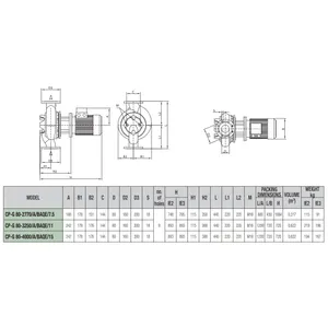 Насос ин-лайн с сухим ротором CP-G 80-3250/A/BAQE/11 DAB 1D5211GBV #2