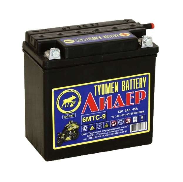 Батарея аккумуляторная АКБ 12В 6МТС-9 6МТС-10 для бензиновых генераторов с электрическим запуском Huter 64/1/23 #1