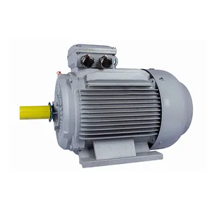 Электродвигатель ESQ PR 280S6-SDN-Б1-S12-45/1000-IE3 IM2081 (Лапы + фланец) #1